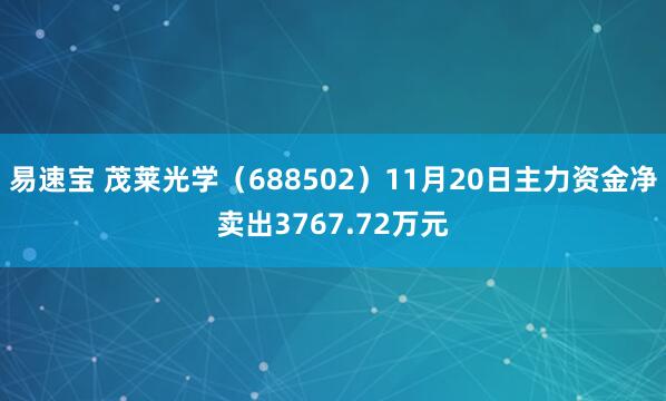 易速宝 茂莱光学（688502）11月20日主力资金净卖出3767.72万元