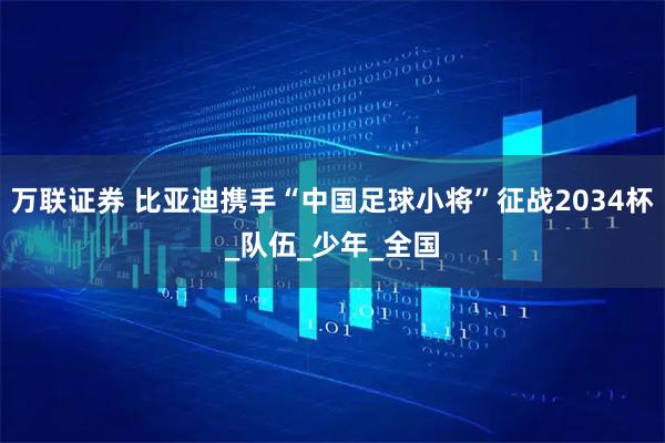 万联证券 比亚迪携手“中国足球小将”征战2034杯_队伍_少年_全国